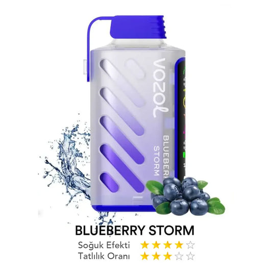 Vozol Gear Power 20000 Blueberry Storm